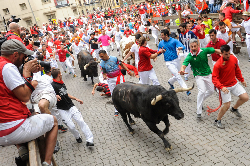 Lễ hội San Fermin (Lễ hội bò đuổi Pamplona)